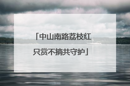 中山南路荔枝红 只赏不摘共守护