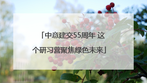 中意建交55周年 这个研习营聚焦绿色未来