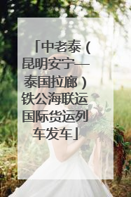中老泰（昆明安宁—泰国拉廊）铁公海联运国际货运列车发车