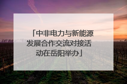 中非电力与新能源发展合作交流对接活动在岳阳举办