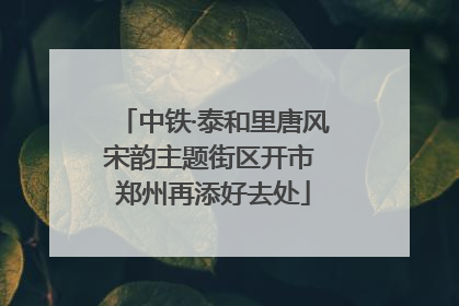 中铁·泰和里唐风宋韵主题街区开市 郑州再添好去处