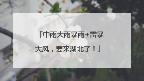 中雨大雨暴雨+雷暴大风，要来湖北了！