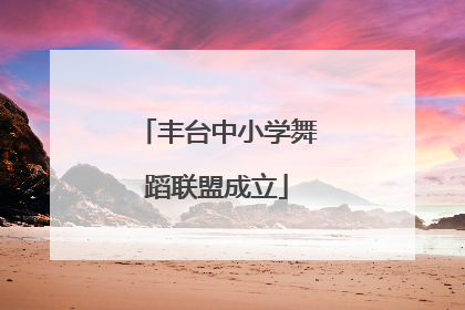 丰台中小学舞蹈联盟成立