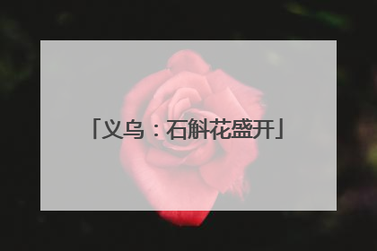 义乌：石斛花盛开