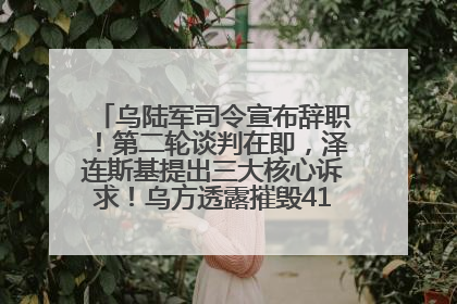 乌陆军司令宣布辞职！第二轮谈判在即，泽连斯基提出三大核心诉求！乌方透露摧毁41架俄战略轰炸机