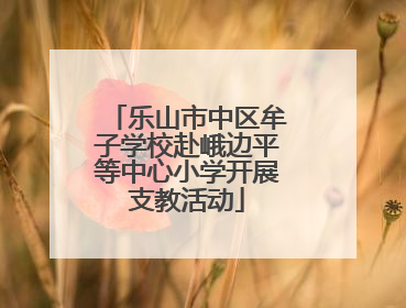 乐山市中区牟子学校赴峨边平等中心小学开展支教活动
