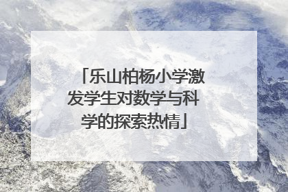 乐山柏杨小学激发学生对数学与科学的探索热情