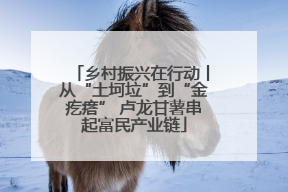 乡村振兴在行动丨从“土坷垃”到“金疙瘩” 卢龙甘薯串起富民产业链