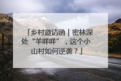 乡村邀请函｜密林深处“羊咩咩”，这个小山村如何逆袭？