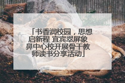 书香润校园，思想启新程 宜宾翠屏象鼻中心校开展骨干教师读书分享活动