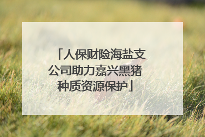 人保财险海盐支公司助力嘉兴黑猪种质资源保护