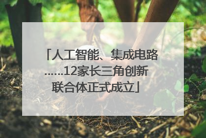 人工智能、集成电路……12家长三角创新联合体正式成立
