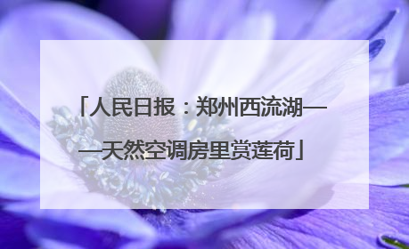 人民日报：郑州西流湖——天然空调房里赏莲荷