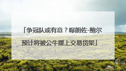 争冠队或有意？曝朗佐-鲍尔预计将被公牛摆上交易货架