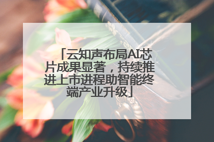 云知声布局AI芯片成果显著，持续推进上市进程助智能终端产业升级