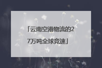 云南空港物流的27万吨全球竞速