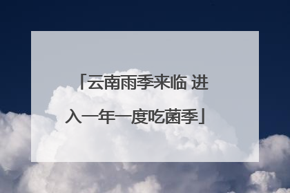 云南雨季来临 进入一年一度吃菌季