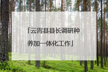 云霄县县长调研种养加一体化工作