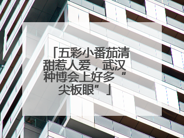 五彩小番茄清甜惹人爱，武汉种博会上好多“尖板眼”
