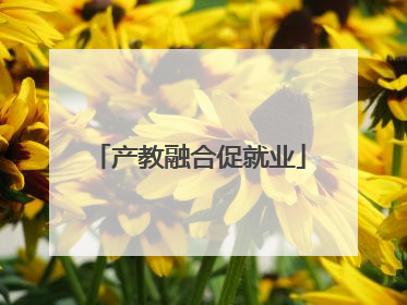 产教融合促就业