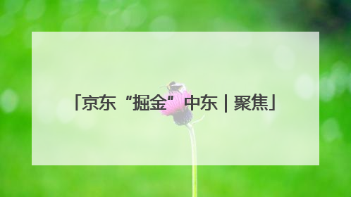 京东“掘金”中东｜聚焦