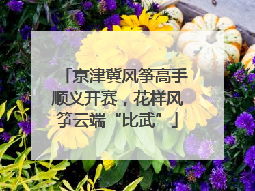 京津冀风筝高手顺义开赛，花样风筝云端“比武”