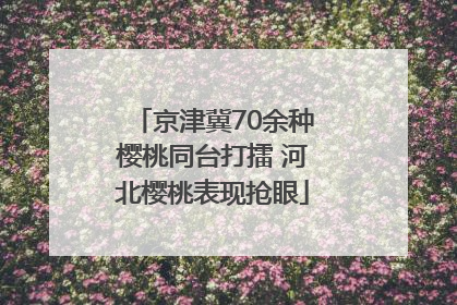 京津冀70余种樱桃同台打擂 河北樱桃表现抢眼