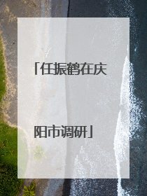 任振鹤在庆阳市调研