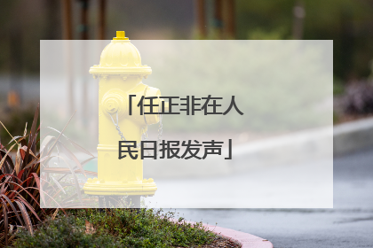 任正非在人民日报发声