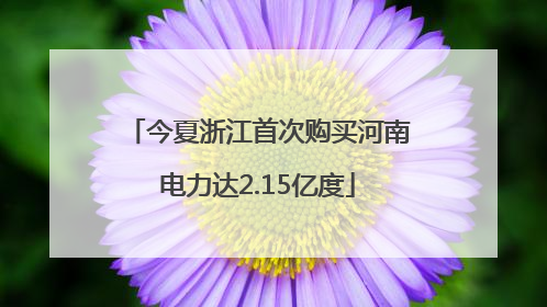 今夏浙江首次购买河南电力达2.15亿度