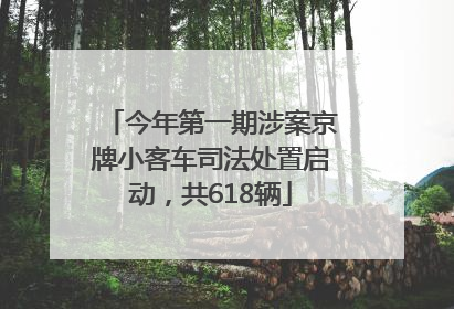 今年第一期涉案京牌小客车司法处置启动，共618辆