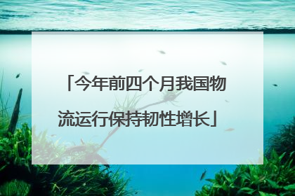今年前四个月我国物流运行保持韧性增长
