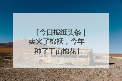 今日报纸头条｜卖火了棉袄，今年种了千亩棉花