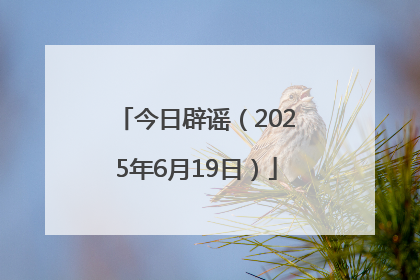 今日辟谣（2025年6月19日）