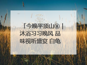 今晚平顶山⑧｜沐浴习习晚风 品味视听盛宴 白龟湖畔·草坪音乐会激情上演