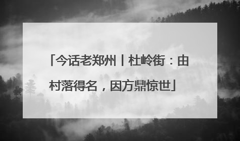 今话老郑州丨杜岭街：由村落得名，因方鼎惊世
