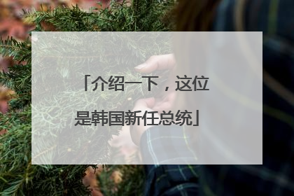 介绍一下，这位是韩国新任总统