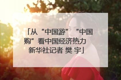从“中国游”“中国购”看中国经济热力 新华社记者 樊 宇