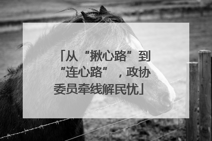 从“揪心路”到“连心路”，政协委员牵线解民忧