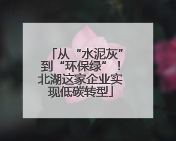 从“水泥灰”到“环保绿”！北湖这家企业实现低碳转型