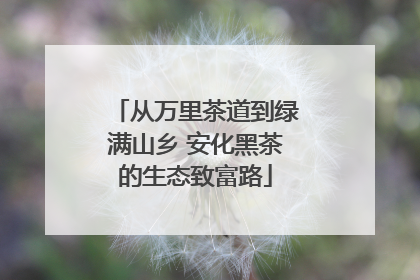 从万里茶道到绿满山乡 安化黑茶的生态致富路