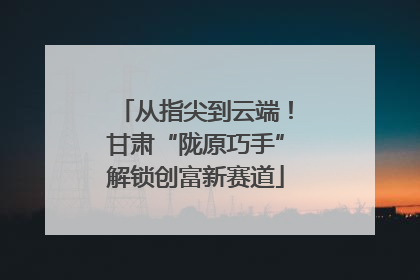 从指尖到云端！甘肃“陇原巧手”解锁创富新赛道