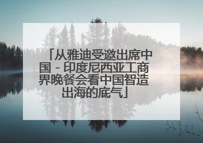 从雅迪受邀出席中国－印度尼西亚工商界晚餐会看中国智造出海的底气