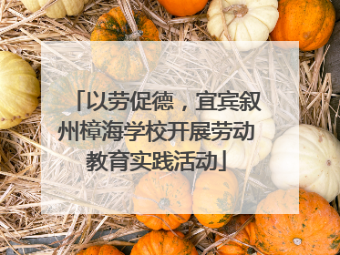 以劳促德，宜宾叙州樟海学校开展劳动教育实践活动