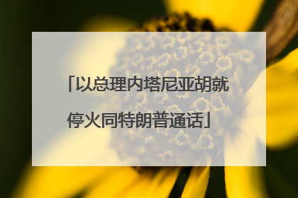 以总理内塔尼亚胡就停火同特朗普通话