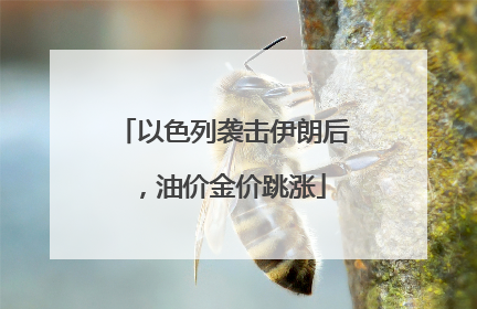 以色列袭击伊朗后，油价金价跳涨