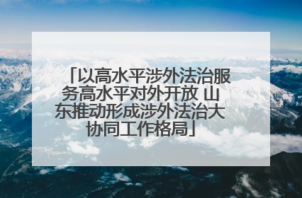 以高水平涉外法治服务高水平对外开放 山东推动形成涉外法治大协同工作格局