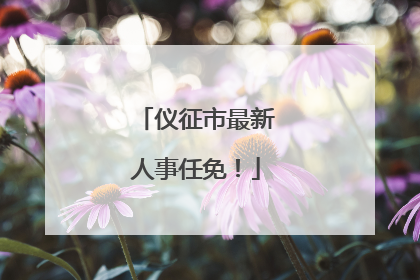仪征市最新人事任免！