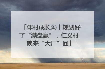 伴村成长④丨规划好了“满盘赢”，仁义村唤来“大厂”回