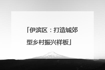 伊滨区：打造城郊型乡村振兴样板